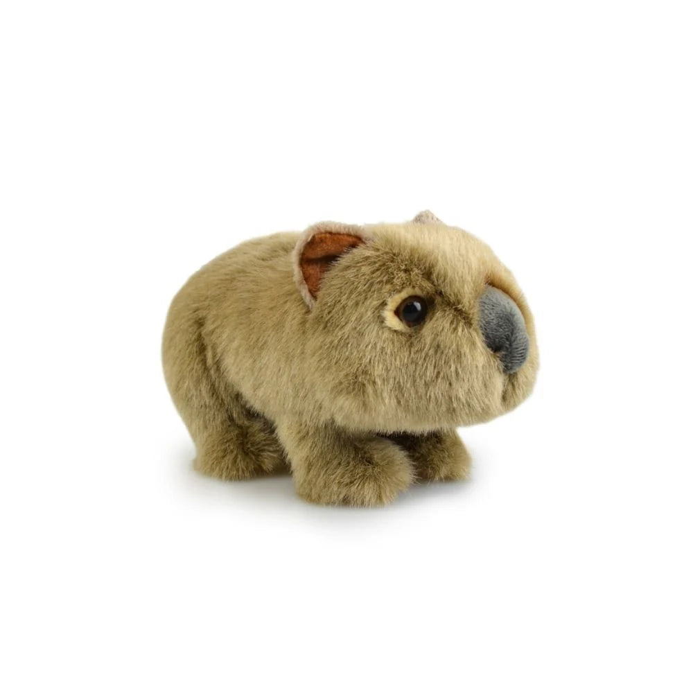 LIL FRIENDS - SOUVENIR - WOMBAT 18CM PLUSH - Toyworld Frankston