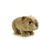 LIL FRIENDS - SOUVENIR - WOMBAT 18CM PLUSH - Toyworld Frankston