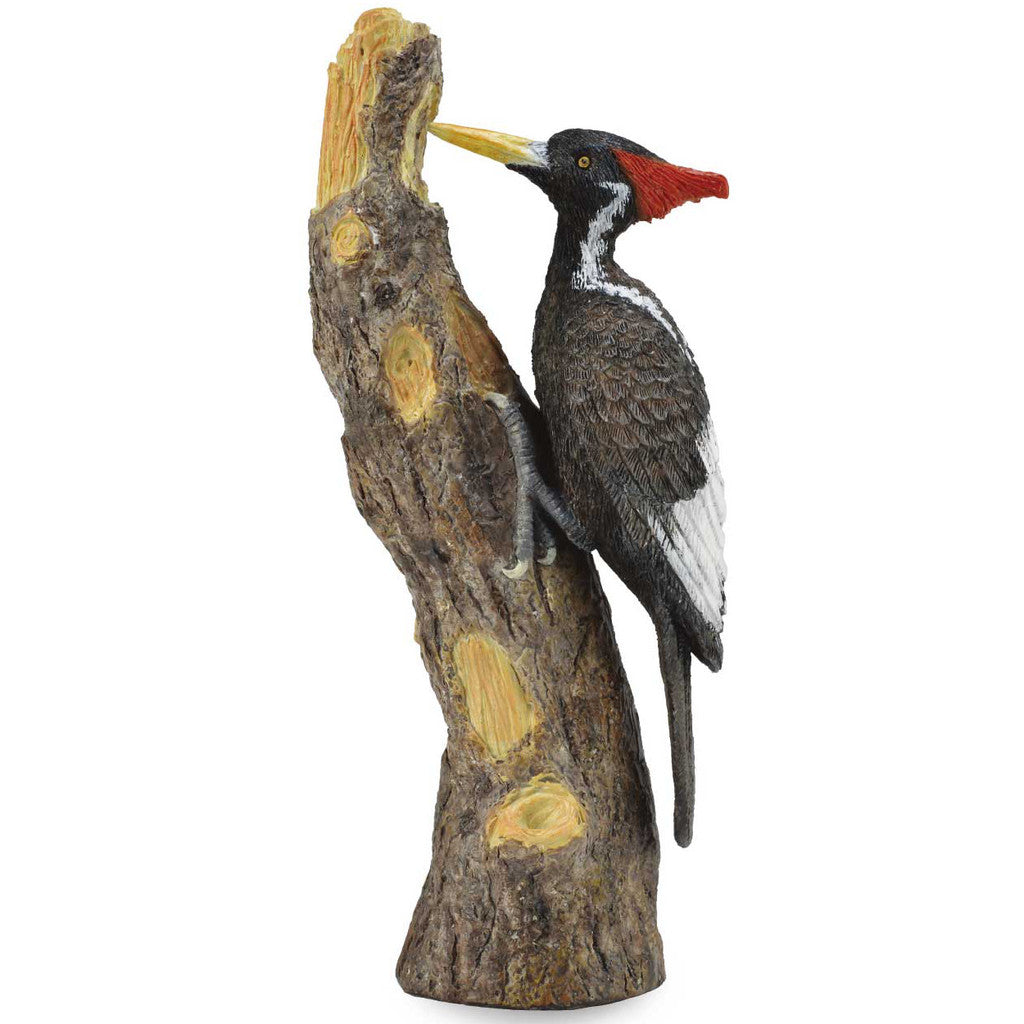 COLLECTA - IVORY-BILLED WOODPECKER