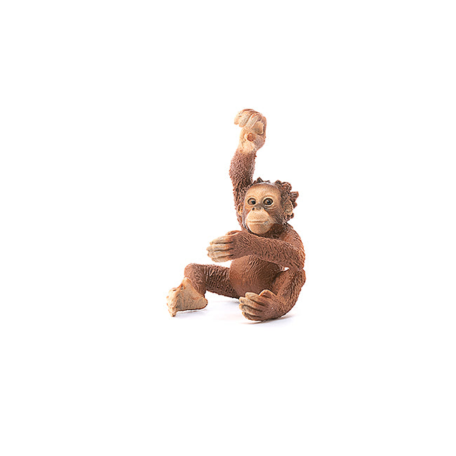 SCHLEICH - YOUNG ORANGUTAN - Toyworld Frankston