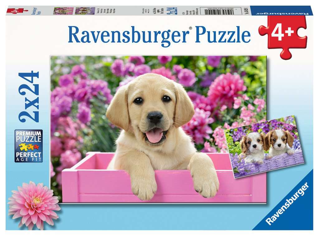 RAVENSBURGER ME AND MY PAL 2X24PC PUZZLE - Toyworld Frankston