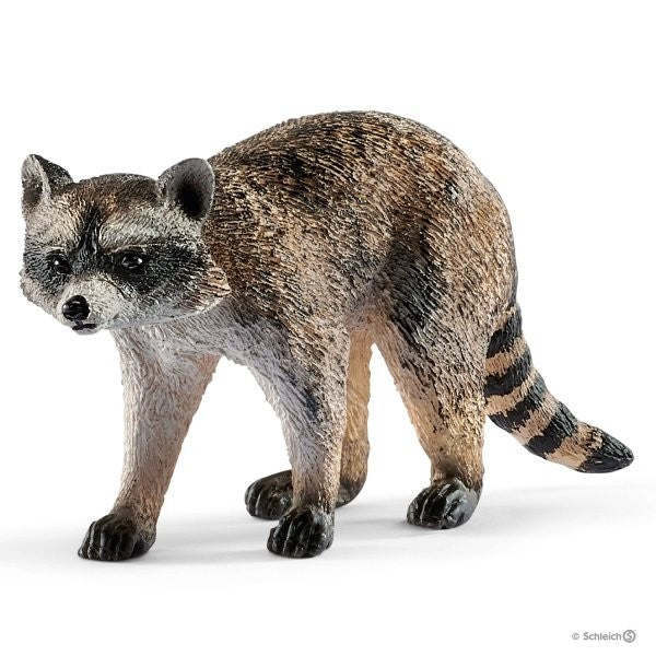 SCHLEICH RACCOON - Toyworld Frankston