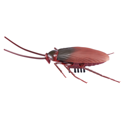 ROBO ALIVE ROBOTIC COCKROACH - Toyworld Frankston