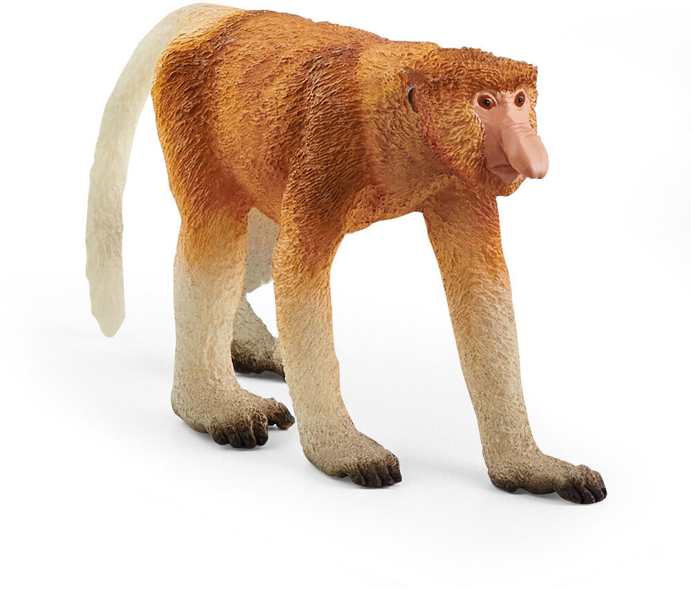 SCHLEICH PROOSCIS MONKEY - Toyworld Frankston