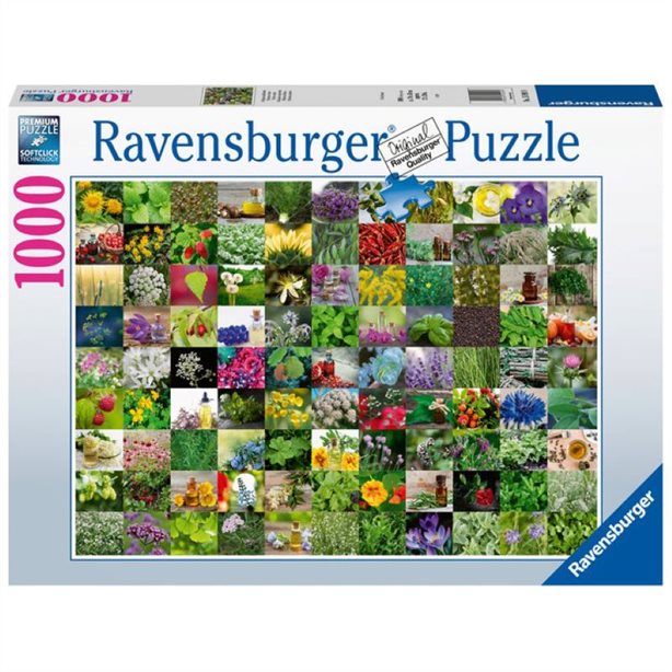 RAVENSBURGER 99 HERBS AND SPICES 1000PC - Toyworld Frankston