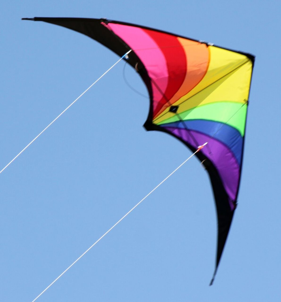 PRISM KITE SWEPT WING 1.37M WINGSPAN - Toyworld Frankston