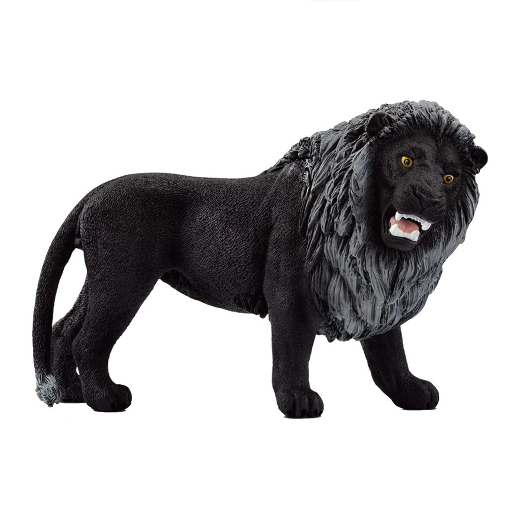 SCHLEICH - BLACK LION ROARING - Toyworld Frankston