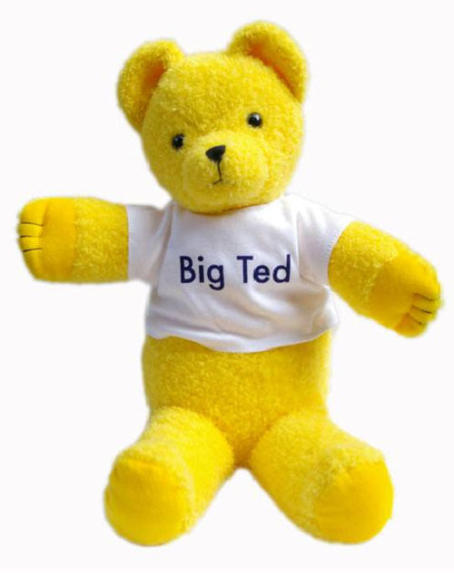 PLAY SCHOOL BIG TED PLUSH - Toyworld Frankston