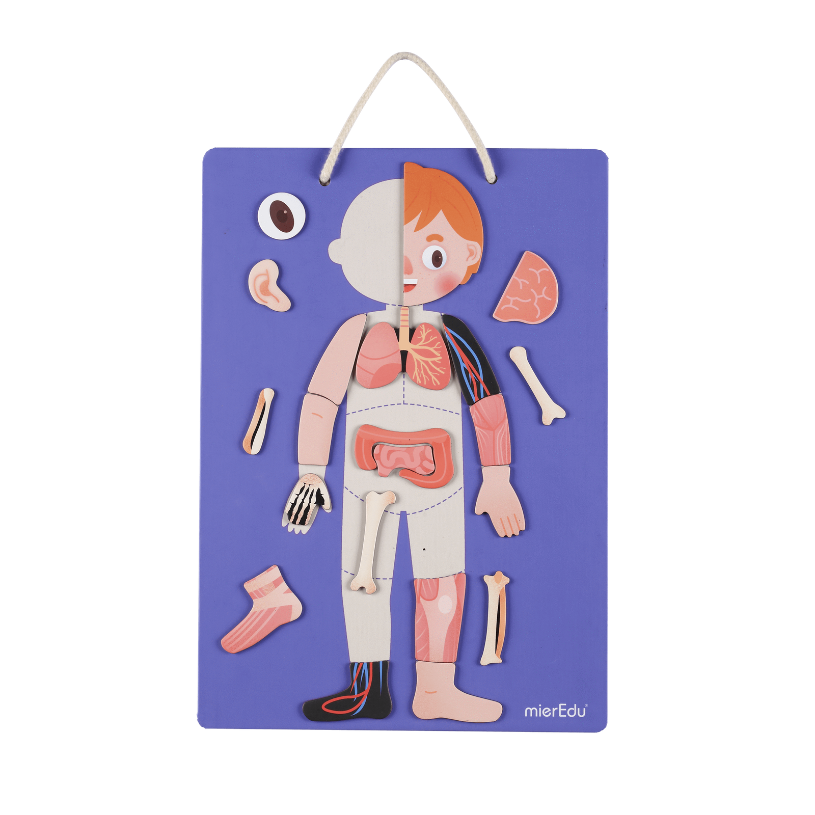 MAGNETIC KIT - ALL ABOUT MY BODY + EMOTIONS - Toyworld Frankston