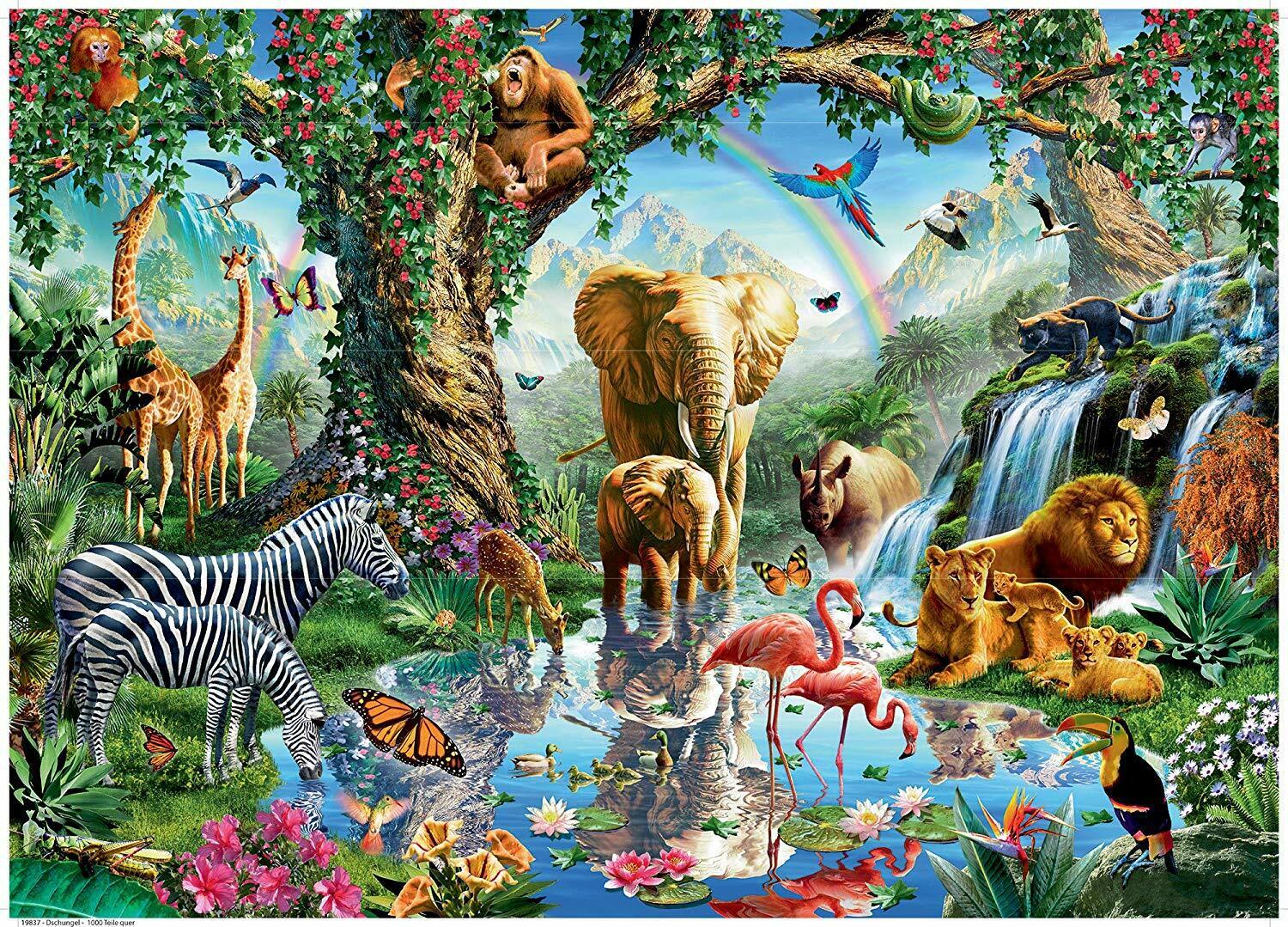 RAVENSBURGER - ADVENTURES IN THE JUNGLE - Toyworld Frankston