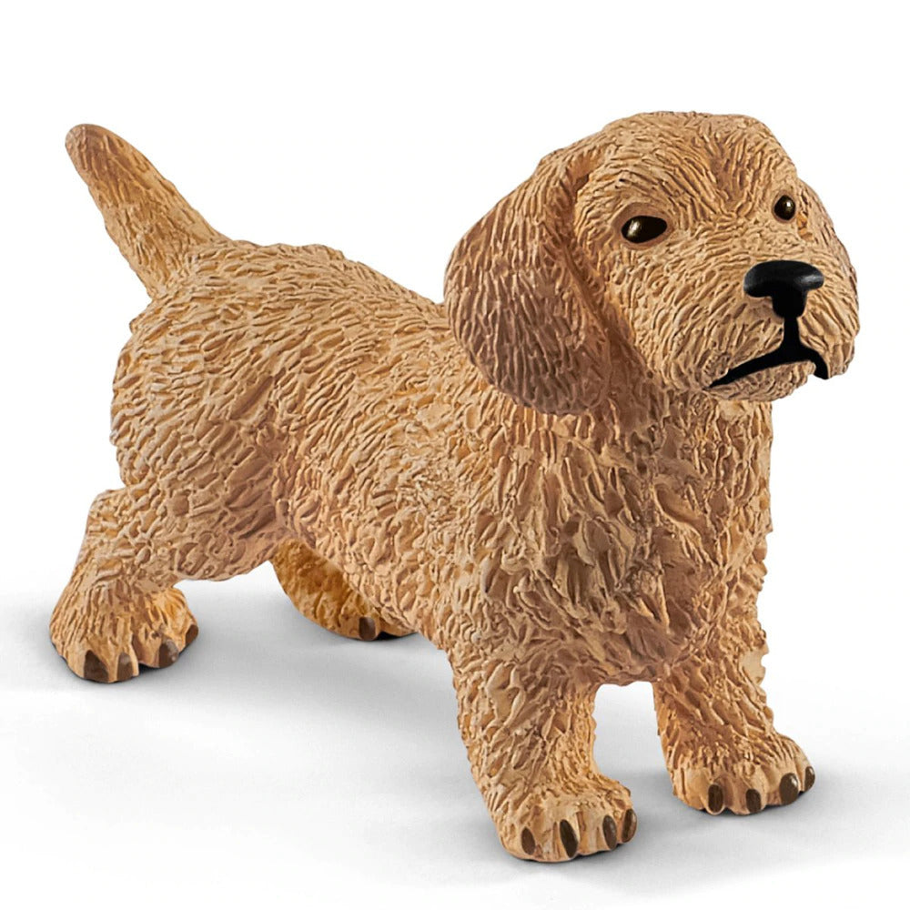 SCHLEICH DASHUND - Toyworld Frankston