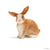 SCHLEICH - RABBIT - Toyworld Frankston