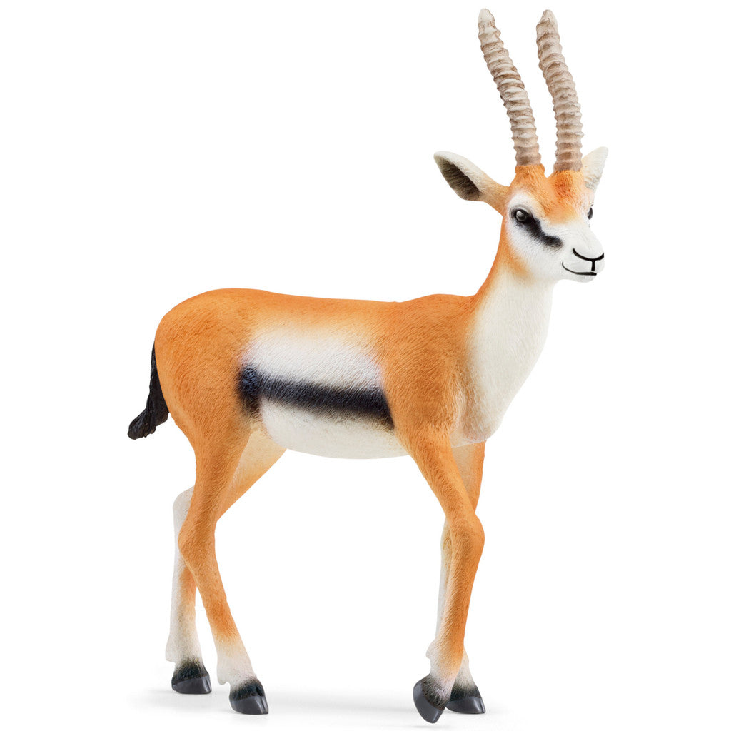 SCHLEICH - GAZELLE - Toyworld Frankston