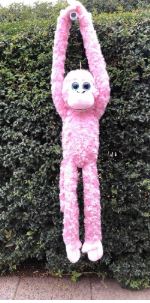 COTTON CANDY ALANA MONKEY - Toyworld Frankston
