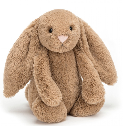 JELLYCAT BASHFUL BUNNY BISCUIT SMALL - Toyworld Frankston