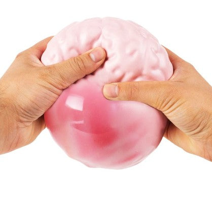 5" GIANT STRESS BALL - BRAIN - Toyworld Frankston