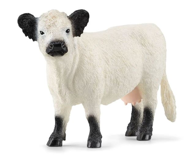 SCHEICH - GALLOWAY COW - Toyworld Frankston