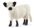 SCHEICH - GALLOWAY COW - Toyworld Frankston