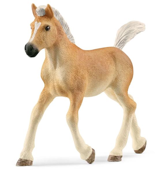 SCHLEICH - HAFLINGER FOAL - Toyworld Frankston