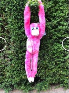 MONKEY JULIE PINK - Toyworld Frankston