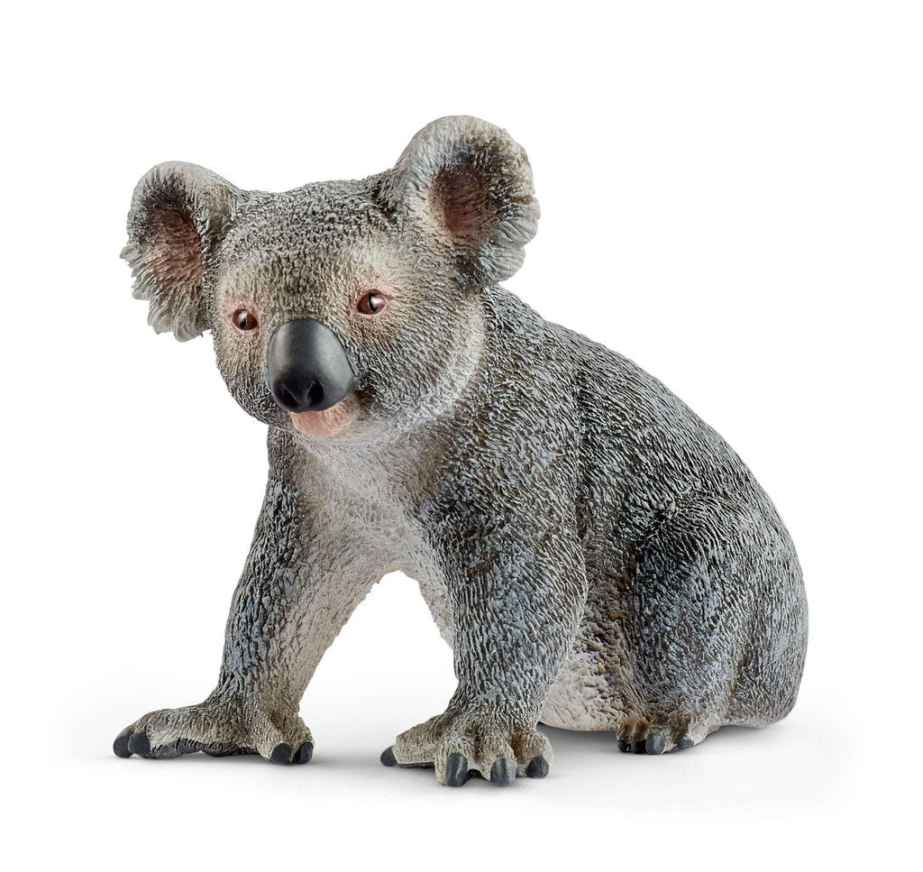 SCHLEICH KOALA - Toyworld Frankston