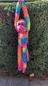 RAINBOW MONKEY - Toyworld Frankston