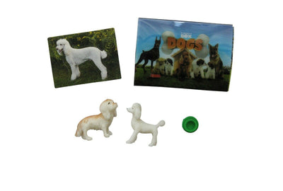 POCKET BOX DOG - Toyworld Frankston