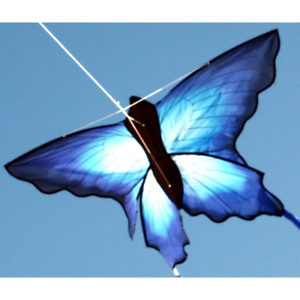 BLUE BUTTERFLY KITE  1.4M - Toyworld Frankston