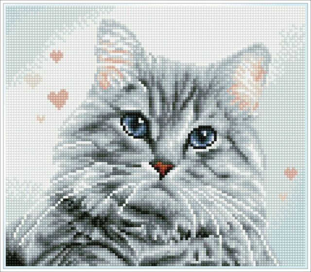DIAMOND DOTZ PRICILLA CAT 31 X 27 CM ( WHITE FRAME INCLUDED) - Toyworld Frankston