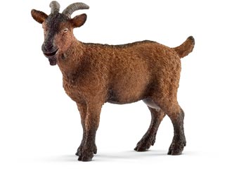 SCHLEICH - GOAT - Toyworld Frankston