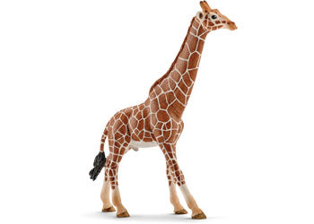 SCHLEICH - GIRAFFE MALE - Toyworld Frankston