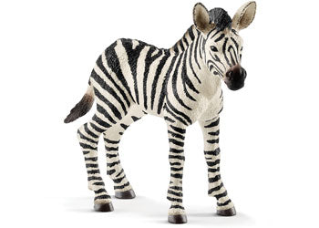 SCHLEICH - ZEBRA FOAL - Toyworld Frankston