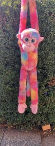MONKEY SUNSHINE - Toyworld Frankston