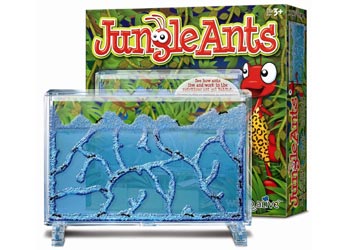 JUNGLE ANTS - Toyworld Frankston